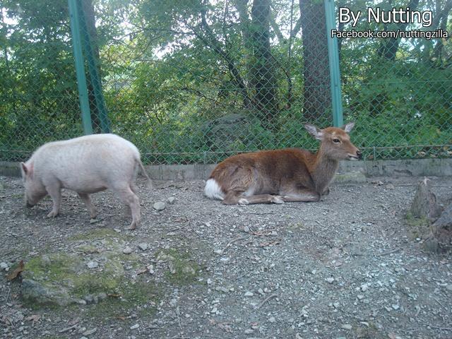 DSC04045.JPG